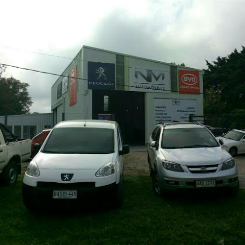 Opiniones de NM Servicio Oficial BYD en Canelones - Taller de reparación de automóviles