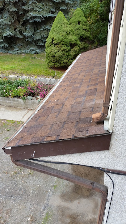 Gutter Cleaning Plus services