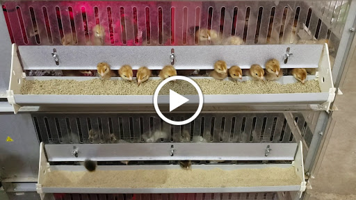 Farm Equipment Supplier «Columbia Farm Supply», reviews and photos, 170 Bear Creek Pike, Columbia, TN 38401, USA