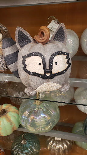 Department Store «T.J. Maxx», reviews and photos, 951 W Pleasant Valley Rd, Parma, OH 44134, USA