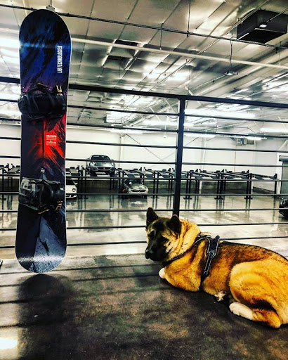 Ski Shop «Demo Sport», reviews and photos, 1101 Francisco Blvd E, San Rafael, CA 94901, USA