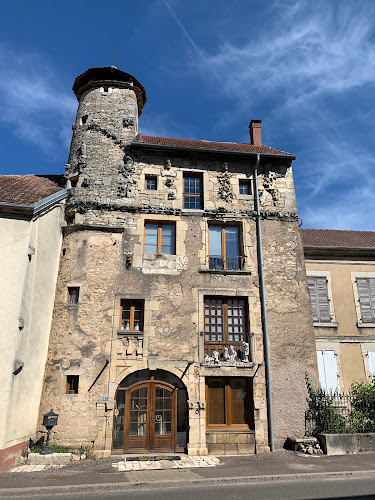 Haus der vielen Gesichter à Scey-sur-Saône-et-Saint-Albin