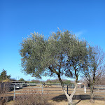 Photo n°9 de l'avis de lia.i fait le 05/02/2023 à 18:02 sur le  Agriturismo La Torrazza à Cambiago