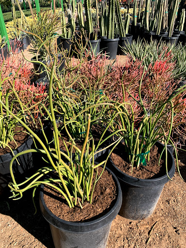 Gas Station «Circle K», reviews and photos, 12707 W Grand Ave, Surprise, AZ 85374, USA