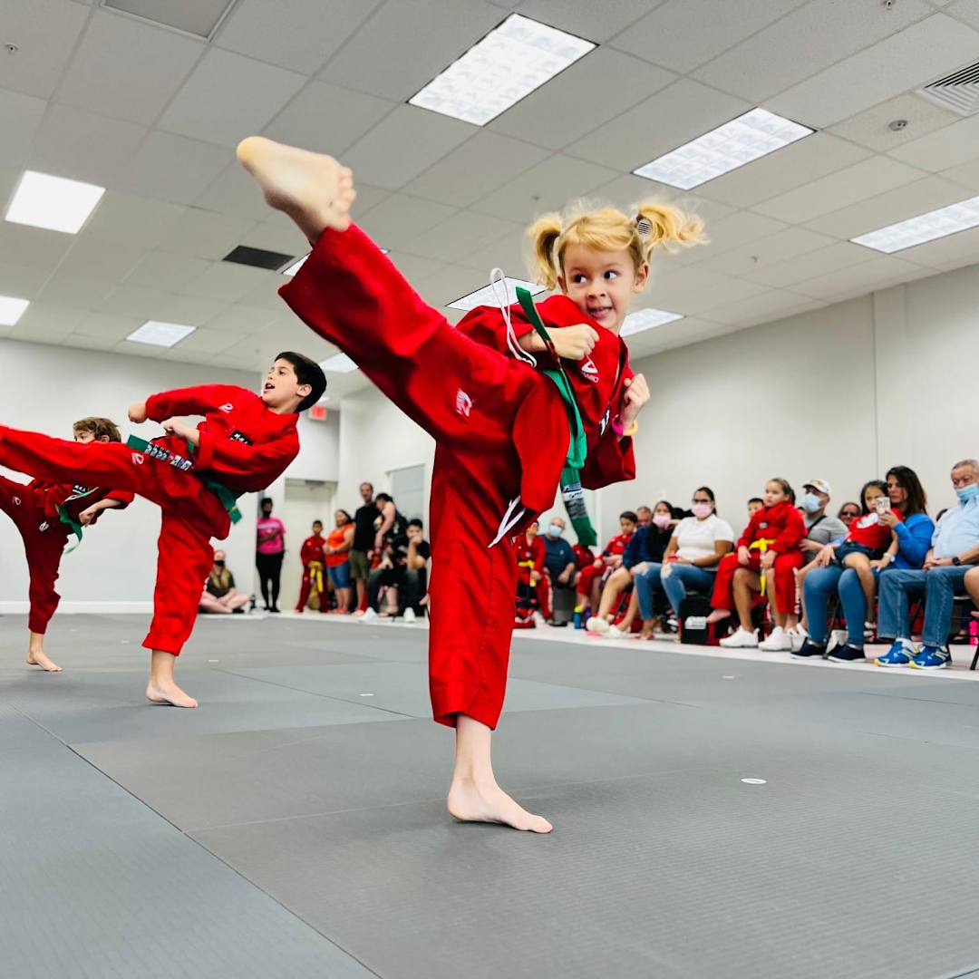 Parks Taekwondo Karate Federation - Boca Raton