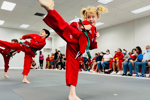 Parks Taekwondo Federation - Boca Raton image