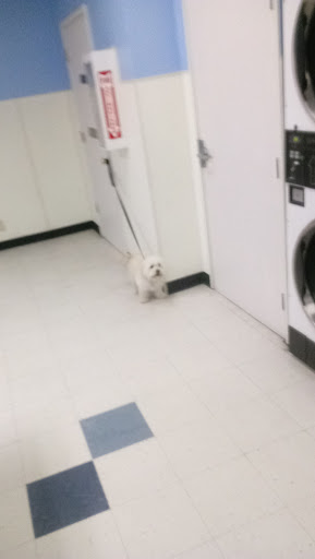 Grocery Store «La Riviera Market and Spirits», reviews and photos, 9331 La Riviera Dr, Sacramento, CA 95826, USA