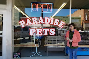 Paradise Pets image