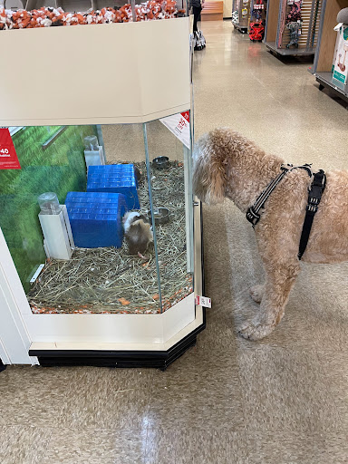 Pet Supply Store «PetSmart», reviews and photos, 443 N Rolling Meadows Dr, Fond du Lac, WI 54937, USA