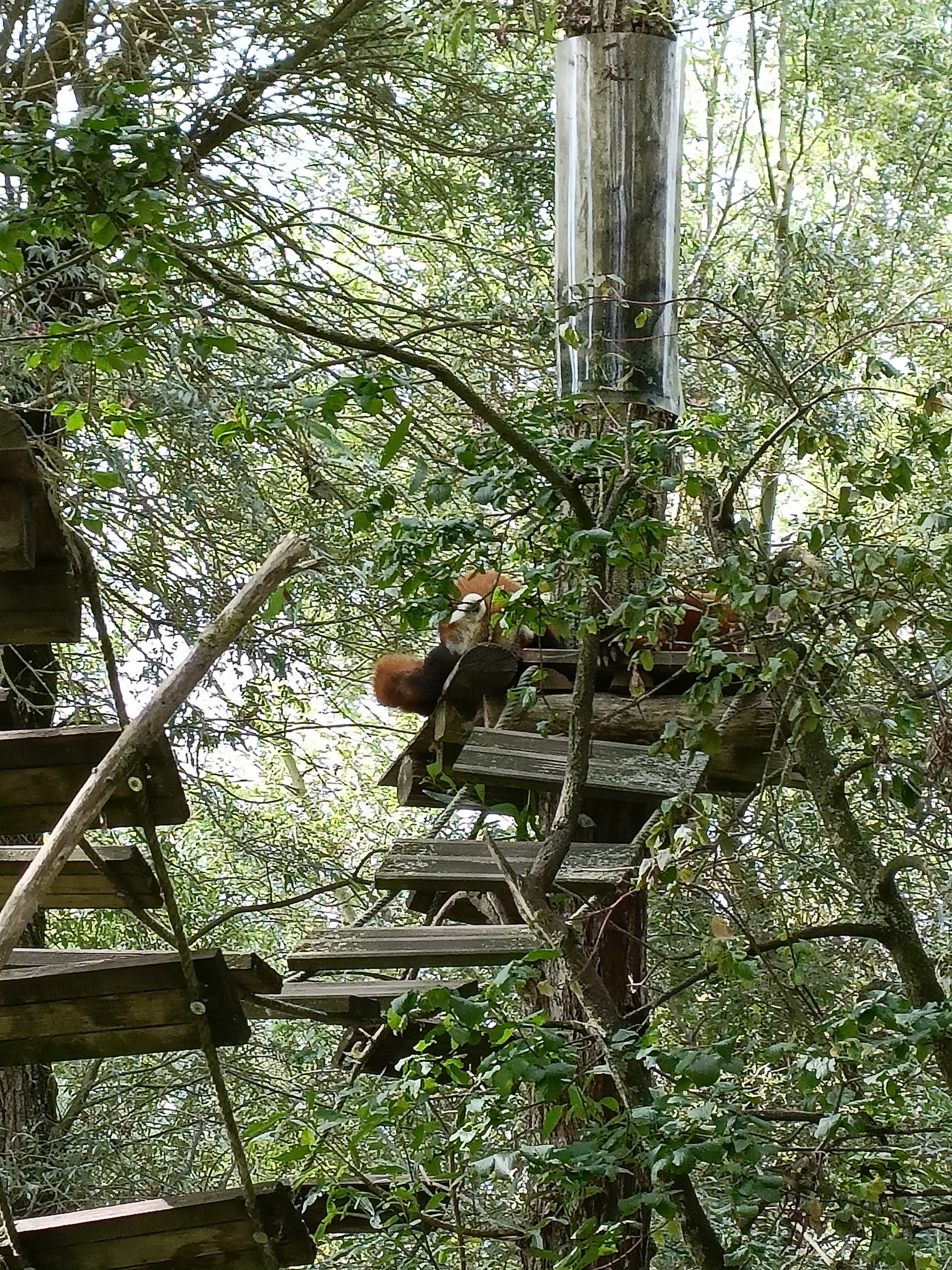Photo n° 2 de l'avis de Fabien.o fait le 01/09/2023 à 17:20