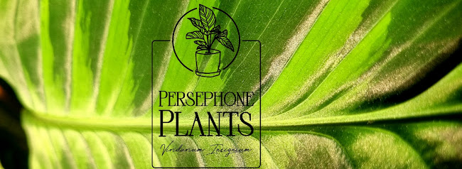Persephone Plants