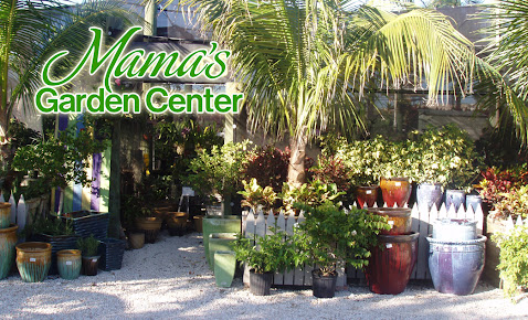 Mama's Garden Center