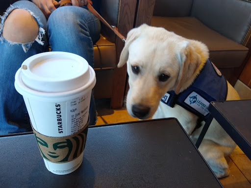 Coffee Shop «Starbucks», reviews and photos, 8481 Grand River Ave, Brighton, MI 48116, USA