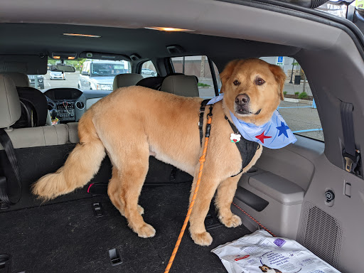 Pet Supply Store «PetSmart», reviews and photos, 6106 Shops Way, Northborough, MA 01532, USA