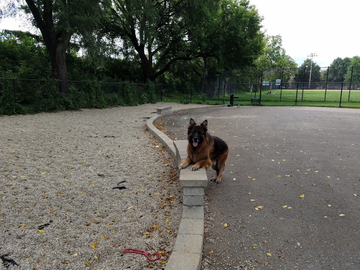 Pottawattomie Park Dog Friendly Area