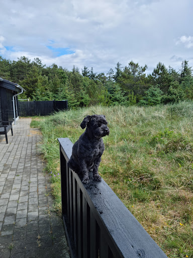 Kleintierpraxis Heide Kersten unter Uetze, Niedersachsen