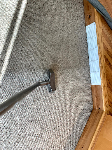 Carpet Cleaning Service «Elite Carpet Cleaning Service», reviews and photos, 29031 Glenarden St, Farmington Hills, MI 48334, USA