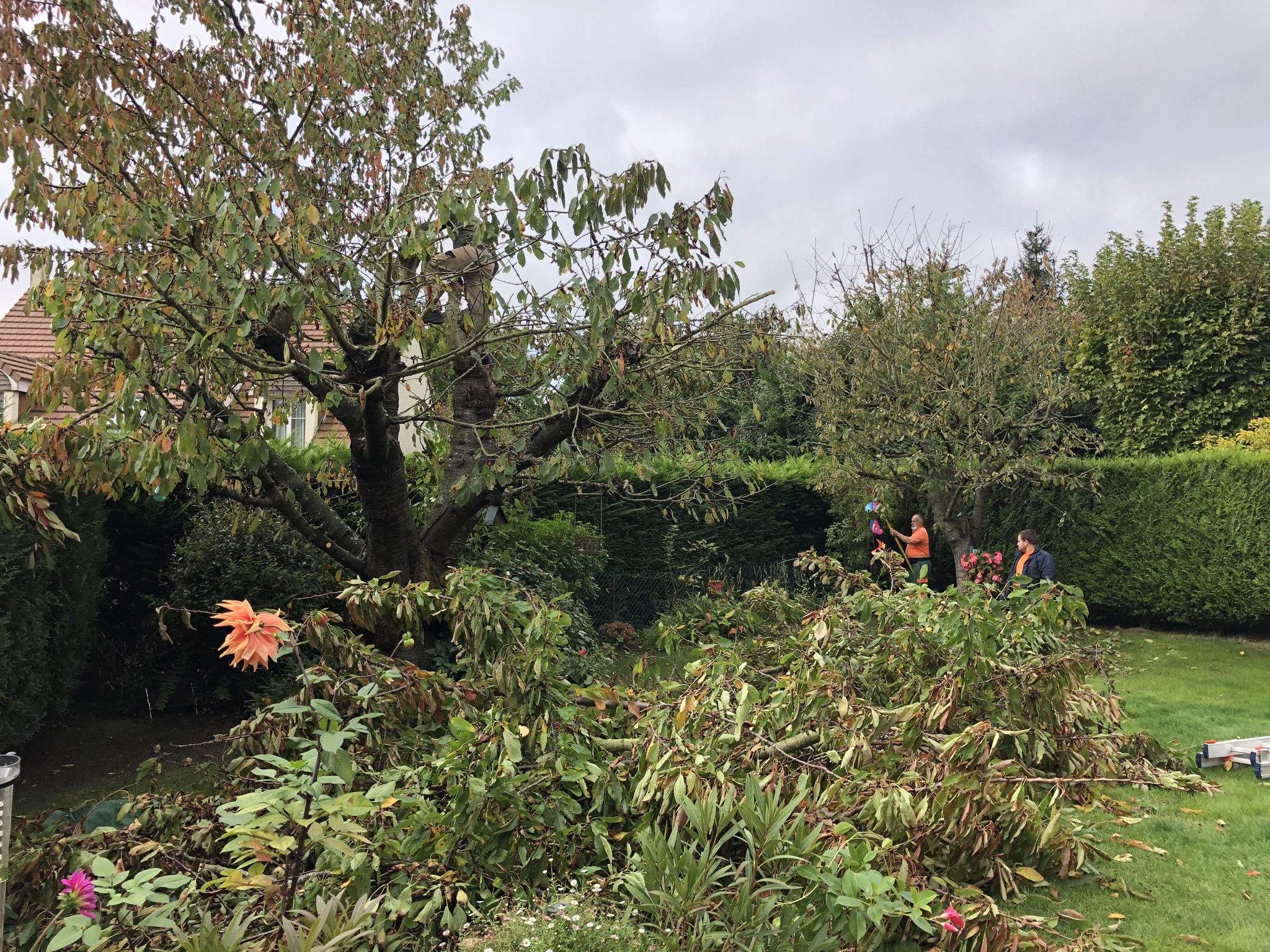 Photo n° 2 de l'avis de bernard.o fait le 22/10/2021 à 08:17