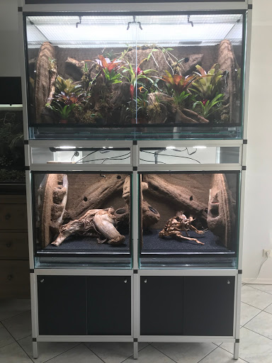 Rana Terrarienbau unter Aachen, 