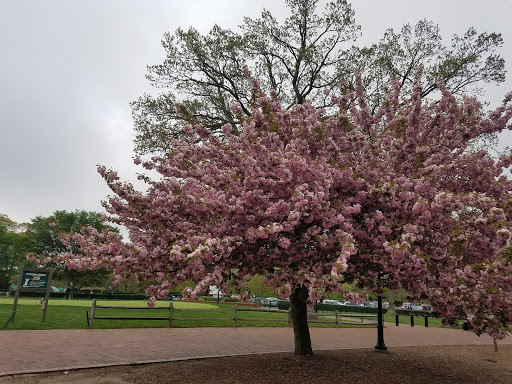State Park «Bethpage State Park», reviews and photos, 99 Quaker Meeting House Rd, Farmingdale, NY 11735, USA