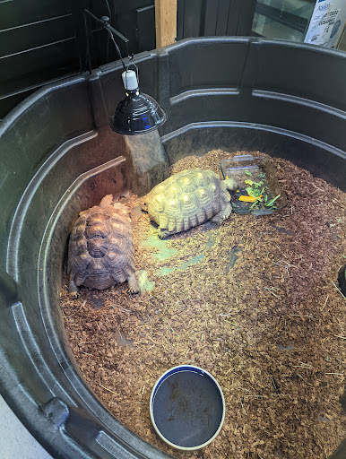 Pet Store «Aqua World Pet Super Center», reviews and photos, 8143 Ohio River Blvd, Pittsburgh, PA 15202, USA