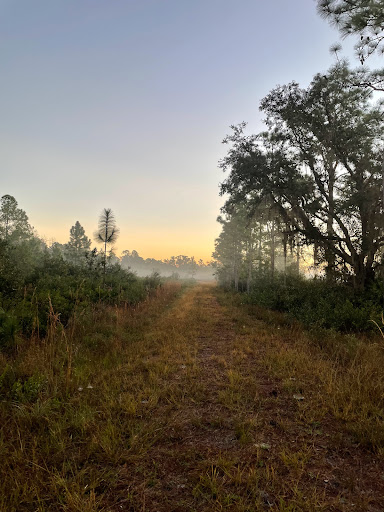 Nature Preserve «Conner Preserve», reviews and photos, 22500 FL-52, Land O Lakes, FL 34637, USA