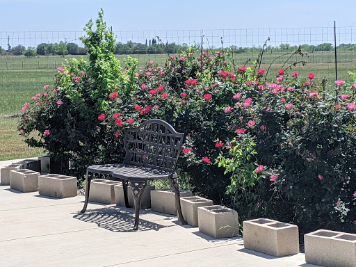 Winery «Blue Lotus Winery», reviews and photos, 5151 FM 20, Seguin, TX 78155, USA