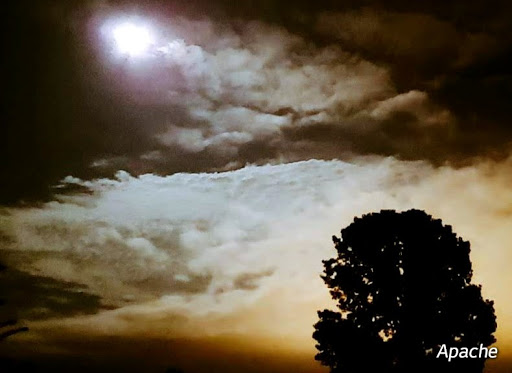 Harley-Davidson Dealer «Signature Harley-Davidson», reviews and photos, 1176 Professional Dr, Perrysburg, OH 43551, USA