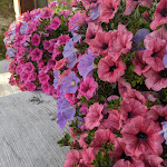 Photo n°2 de l'avis de Fabiano.' fait le 01/10/2023 à 14:26 sur le  Chalet Lago Antorno à Misurina