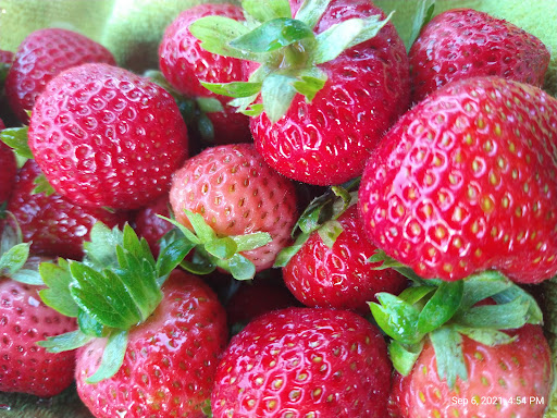 Grocery Store «Stop & Shop», reviews and photos, 67 Newtown Ln, East Hampton, NY 11937, USA