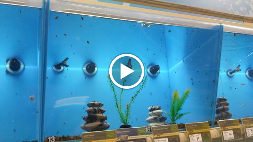 Pet Supply Store «PetSmart», reviews and photos, 466 S Watson Rd, Buckeye, AZ 85326, USA