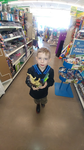 Dollar Store «Dollar Tree», reviews and photos, 11200 Maple Ridge Rd, Medina, NY 14103, USA