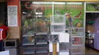Cacique Petshop W 29st - Photo 5 - Car repair in Hialeah, FL, Hialeah