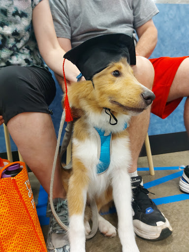 Pet Supply Store «PetSmart», reviews and photos, 934 W Street Rd, Warminster, PA 18974, USA