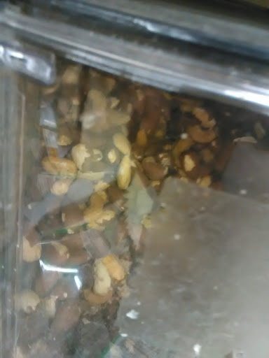 Grocery Store «Kroger», reviews and photos, 2821 S Washington St, Kokomo, IN 46902, USA