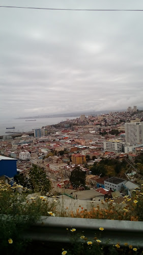 Opiniones de TIsupport Ltda en Valparaíso - Tienda de informática