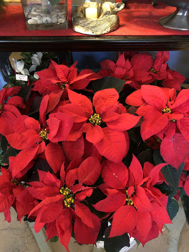 Florist «Z Florist», reviews and photos, 804 Mt Royal Blvd, Pittsburgh, PA 15223, USA