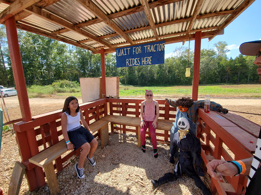 Christmas Tree Farm «Sleepy Hollow Farm & Escape Woods», reviews and photos, 628 Sleepy Hollow Rd, Powder Springs, GA 30127, USA