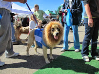 Pet-Ritz - Photo 9 - Car repair in Howell, MI, South Lyon