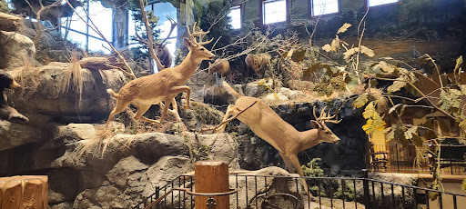 Sporting Goods Store «Bass Pro Shops», reviews and photos, 11550 Lakeridge Pkwy, Ashland, VA 23005, USA
