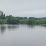 Photo n° 2 de l'avis de Look. fait le 06/06/2022 à 19:12 pour Les bateliers des marais du Cotentin: La Rosée du Soleil à Carentan-les-Marais