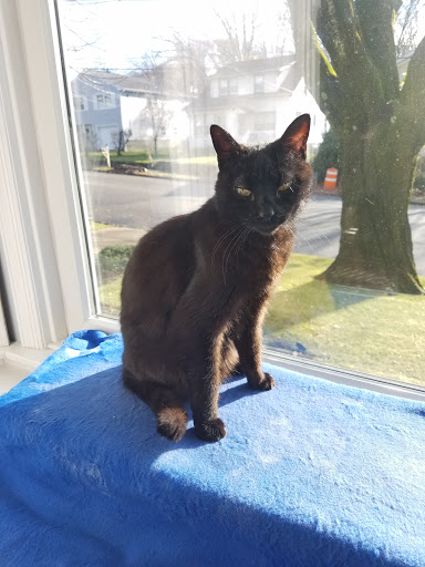 Pet Supply Store «Morris County Pet Supply», reviews and photos, 99 US-46, Rockaway, NJ 07866, USA