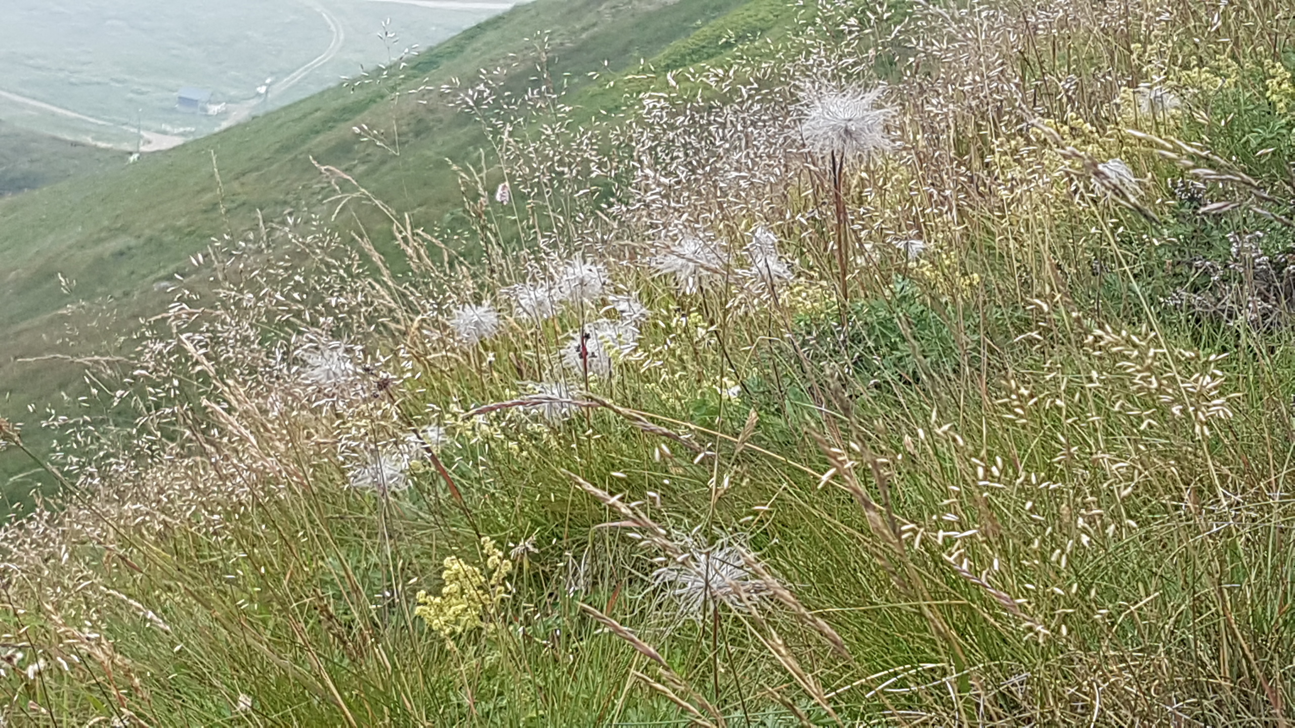 Photo n° 23 de l'avis de Catherine.R fait le 09/08/2019 à 17:54