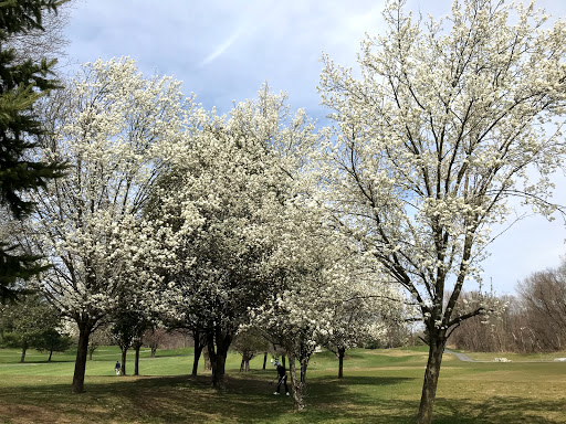 Golf Course «Maple Moor Golf Course», reviews and photos, 1128 North St, White Plains, NY 10605, USA