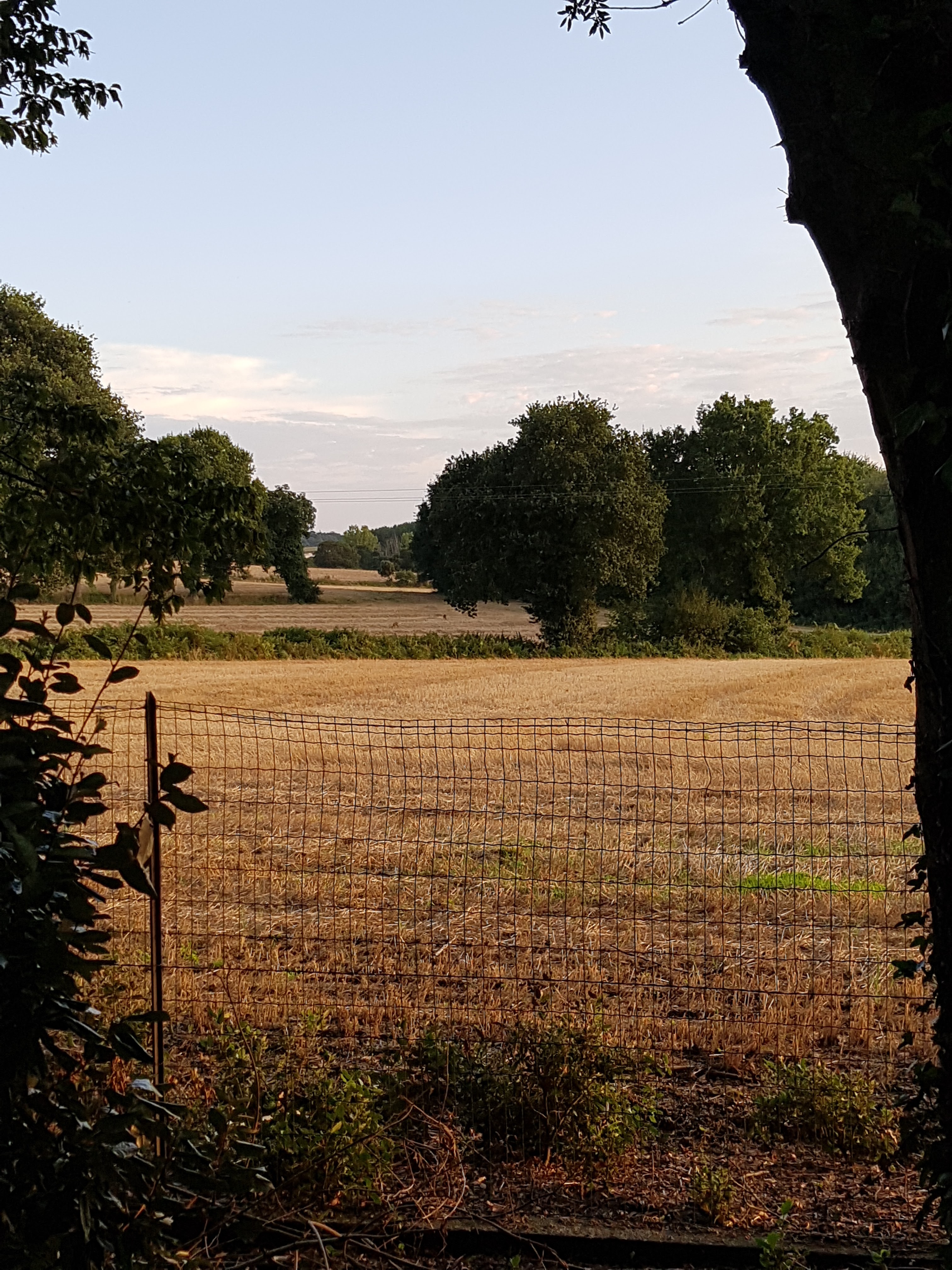 Photo n° 18 de l'avis de Dan. fait le 09/09/2017 à 14:11