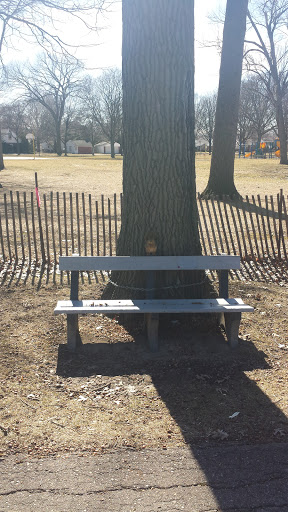 Park «Schemansky Park», reviews and photos, W Outer Dr, Dearborn, MI 48124, USA