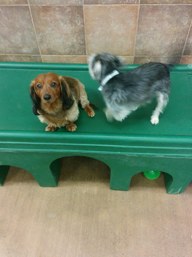 Pet Supply Store «PetSmart», reviews and photos, 4300 E Alameda Ave, Glendale, CO 80246, USA