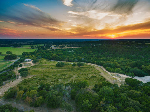 Winery «Valley Mills Vineyards», reviews and photos, 8532 Hwy 6, Waco, TX 76712, USA