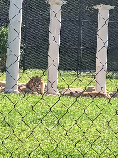 Zoo «Turtle Back Zoo», reviews and photos, 560 Northfield Ave, West Orange, NJ 07052, USA