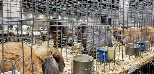 Convention Center «Reno-Sparks Convention Center», reviews and photos, 4590 S Virginia St, Reno, NV 89502, USA